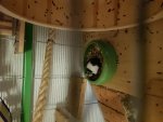 20171205_183059.jpg