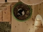20171205_182957.jpg