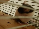 20171130_214347.jpg