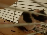 20171130_214342.jpg