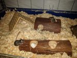 IMG_20171215_230004.jpg