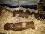 IMG_20171215_225956.jpg