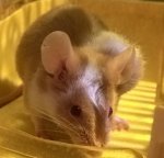 WP_20171228_22_07_10_Pro.jpg