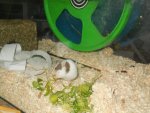 DSCN1418.jpg