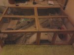 DSC00787.jpg