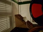 20180105_193236.jpg