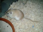 2018-01-10 18.30.37_Sherry_1_s.jpg