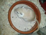 2018-01-10 18.31.11_Sherry_2_s.jpg