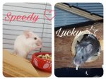 PicsArt_01-17-12.27.21.jpg
