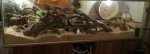 IMG_20180123_223226.jpg