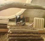 IMG_20180124_205106.jpg