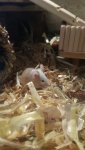 IMG_20180122_112548.jpg