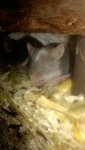 IMG_20180125_214431.jpg