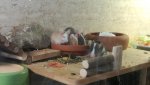 IMG_20180126_111136.jpg