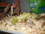 DSCN1552.jpg