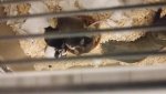 20180329_221947.jpg