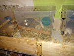 DSC00358.jpg