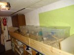 DSC00363.jpg