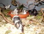 DSCN1645.jpg