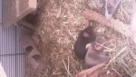 20180406_091915.jpg