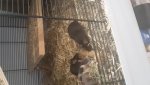 20180406_092317.jpg