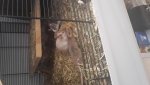 20180406_092708.jpg