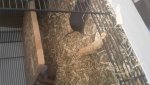 20180406_093027.jpg