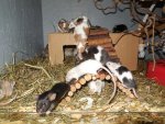 DSCN1748.jpg
