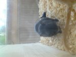 DSC00812.jpg