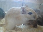 DSC00813.jpg