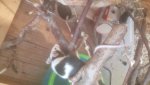 20180513_123754.jpg