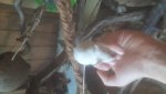 20180513_123343.jpg