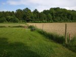 IMG_20180519_164615.jpg