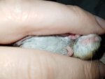 20180524_005308.jpg