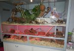 DSCN1884.jpg