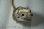 DSC02082.jpg