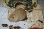 DSC02303.jpg