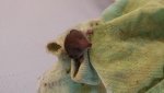 20180604_130318.jpg