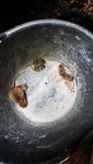 IMG-20180605-WA0013.jpg