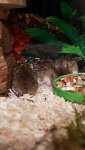 IMG-20180605-WA0017.jpg
