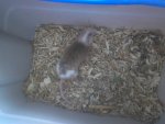 DSC00857.jpg