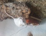 20180703_160854.jpg