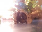20180715_150416.jpg