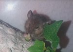 20180722_215516.jpg