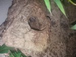 20180716_115235.jpg