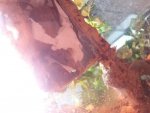 20180715_150610.jpg