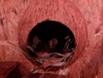 MVIMG_20180814_201013.jpg