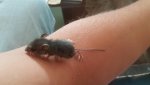 20180829_092607.jpg