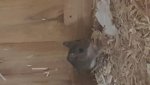20180916_171513.jpg