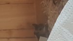 20180916_171110.jpg
